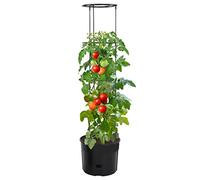 Genérico Macetero para Tomates Polipropileno Gris Antracita Ø39x150 cm,Casa y jardín,Jardín,Jardinería,Maceteros y jardineras-152210
