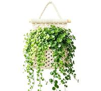 Genérico Macrame Plant Hangers - Indoor Thickened Cotton Sturdy Lightweight