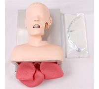 Genérico Maniquí avanzado de intubación Oral Nasal - Entrenador de manejo de la vía aérea en Adultos, con Alarma Dental - Modelo de simulador de Entrenamiento de intubación traqueal