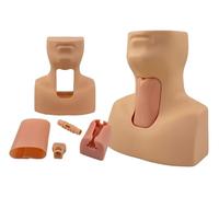 Genérico Maniquí de Entrenamiento para Traqueostomía de PVC Simulador de Traqueostomía para Entrenamiento en Cricotirotomía y Cuidados de Traqueostomía para Enseñanza Médica