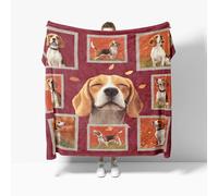 Genérico Manta Refrescante XL 150x200 cm Animal Lindo Beagle Manta Verano, Transpirable Suave Anti Estático Rojo Mantas para Cama Alivia Sudor y Ayuda Sueño para Cama Sofá