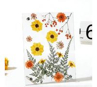 Genérico Marco de Flores | Arte de Pared Rectangular Hecho a Mano,Marco Flotante con Flores Prensadas - para Hogar, Oficina, Cocina, Dormitorio, Baño, Tocador, Regalo de Boda y