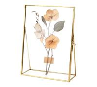 Genérico Marco para Flores Prensadas | 10x15 cm Transparente Hecho a Mano - Marco Vidrio Doble Cara | para Hogar, Escritorio, Mesa, Recuerdo, Tréboles, Flores Secas, Arte Pequeño, Pintura