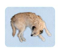 Genérico Mat de refrigeración para perros - Pet Support Cats Cama de verano portátil | Base térmica suave plegable enfriable Paw Confort Pat Pad para sofá