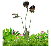 Genérico Metal Carnivorous Plant Garden Stake | Whimsical Metal Yaard Art 25in,Outdoor Decorative Garden Stake Sculptture,for Outdoor Patio Balcony Backyard Lawn Terrace Walkway Potted Plaants