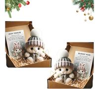 Genérico Mini Bunny Hug Cute Easter, Handmade Bunny Hugs in Box, Pocket-Sized Comfort with Knit Hat & Gift Box, for Friends Family (2PCS-K+K)