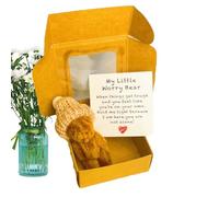 Genérico Mini De Peluche - Mini con Tarjeta | Regalos De Apoyo Emocional para Familias Y Amigos Decoración De Escritorio | para La Graduación Madre Niño Pequeño Shower Cuidado De