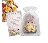 Genérico Mini Hug Card | Springtime Inspirational Keepsake | Easter Bunny Pocket Card Mini Hug - for Men Women Adults Girls Him Her Commuting Travel School Adventure