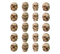 Generico Mini Skulls Decor - Resin, Spooky Holiday Accessories, Indoor Outdoor Safe | Halloween Table Scatter Confetti with gothic-style compatibility, Haunted House VIGNETE Props, Dead Decorations