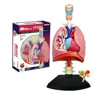 Genérico Modelo de anatomía del pulmón Humano,Modelo 4D del Sistema respiratorio,21 Piezas Desmontables,Juguete de ensamblaje de Rompecabezas,Modelo didáctico,11.4 * 10.6 * 20cm