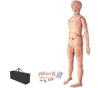 Genérico Modelo de Anatomía Humana, Maniquí de Entrenamiento en Habilidades Enfermería a Tamaño Real de 170 cm, Maniquí Anatómico PVC para Enseñanza de Entrenamiento Médico y de Enfermería