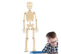 Genérico Modelo De Esqueleto Anatómico para Estudio - Montaje De 30 Cm,Esqueleto Anatómico,Figura De La Estructura del Cuerpo Humano para Niños Estudiantes Decoración De Halloween Escritorio