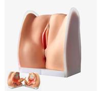 Genérico Modelo de maniquí ginecológico Femenino, Modelo de anatomía de genitales Femeninos Modelo Humano Modelo de formación de Iud con Estructura anatómica precisa Adecuado para la enseñanza