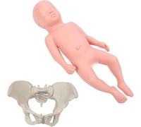 Genérico Modelo de Parto Pélvico para Mujer Embarazada - Modelo de Entrenamiento de Partería, con Bebé y Pelvis Desmontables de 18,9 pulgadas, la Articulación Sacroilíaca es Movible,Male