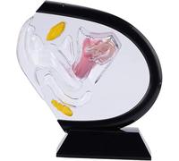 Genérico Modelo Transparente del útero, Modelo anatómico Humano Visible de la Vagina Modelo Femenino del órgano reproductivo, para la enseñanza médica educativa Training,Negro