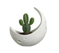 Genérico Moon Wall Planter, Half Moon Pot, 12 Inch Boho Hanging Basin with Reinforced Build, High Stability Display, Home Accessory with Celestial Style Tool for Bedroom and Living Room