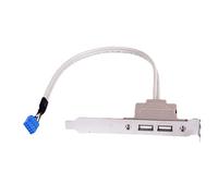 Genérico Motherboard Extension Cable, 2-Port USB Pin Header Connector, ABS Material Computer Cable for Rear Panel 9-Pin Expansion, Fix Chassis Baffle Securely