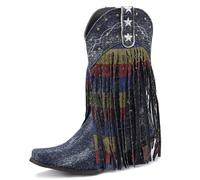 Genérico Mujer Punta Puntiaguda Botas De Media Pantorrilla Tacón De Bloque Bota De Vaquero Occidental con Tachuelas Tirón Botas De Caña Ancha con Borla,Blue2,41 EU