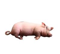 Genérico Muñecos Lindos,Cojines Decorativos de Aves de Corral,Peluches Animales Almohadas y Muñecos | para Niños Mujeres Hombres Hogar Dormitorio Salón Oficina Cama Sofá Coche Viaje