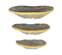 Genérico Mushroom Shelf Wall Decor - 3pcs Resin Floating Fungi Ledge | Whimsical Forest Wall Mount Stand for Displaying Figures and Jewelry, Enchanted Room Decor for Bedroom & Nursery