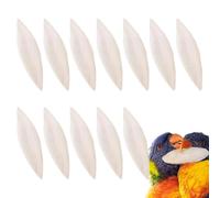 Genérico Natural Cuttlebone 12 Pack for Turtles Tortoises and Pet Birds