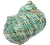 Genérico Natural Decoration with Large Sea Conch for Aquariums and Landscaping Green Shells for Crafts and Marine Theme Ornaments for Parties and Weddings