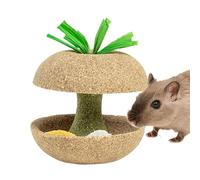 Generico Natural Hamster Chew Toys, Fruit Shaped Treats, Small Animals, Teeth Chewing Toys for Hamsters, Chinchillas, Gerbils and Squirrels, Bunny Safe Wooden Chew Toys for Healthy Teeth