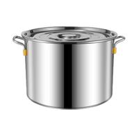 Genérico Olla de Acero Inoxidable con Tapa, Gran Capacidad para sopas, guisos y cocción (25x25cm)