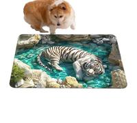 Genérico Optical Illusion Rug - Anti-Slip Rubber Foundation Engaging Cool Trap Carpet Non-Slip,3D Rugs - Engaging Illusion Design For Halloween Decorations Indoor Porch Entrance Kitchen Bathroom