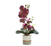 Genérico Orquídea Artificial Amarilla de Dos Puntas Realista Phalaenopsis de Silicona de Ocho Cabezas en Maceta Flor de Mariposa Blanca de Imitación (Rojo)