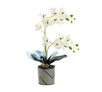 Genérico Orquídea Artificial Morada de Dos Puntas de 12 pétalos Flor Decorativa Phalaenopsis Blanca Orquídea Artificial Naranja Realista en Maceta Mariposa Blanca de Imitación (Blanco)