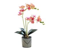 Genérico Orquídea Artificial Morada de Dos Puntas de 12 pétalos Flor Decorativa Phalaenopsis Blanca Orquídea Artificial Naranja Realista en Maceta Mariposa Blanca de Imitación (Rosa Rayado)
