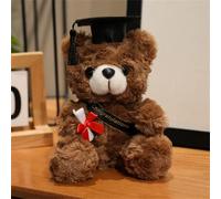 Generico Oso de peluche de 25 cm, oso de graduación, simpático osito de peluche para graduación, osito de peluche con diploma y sombrero, graduación Bear para escuela