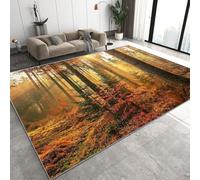 Genérico Otoño Bosque Alfombra Salon Grande Lavable en Lavadora, Pinos Abetos Y El Efecto Tyndall Alfombra Pelo Corto Imitación Cachemira Abstracta Antideslizante para Dormitorio 160x230 cm D-629