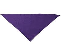 Genérico Pack de 100 Pañuelos Triangulares para Fiestas - ¡Añade Color y Alegría a tus Celebraciones! - fiestas populares peñas o charangas - Adulto: 100cm x 70cm, violeta uva