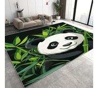Genérico Panda Gigante Alfombra Salon Grande Lavable en Lavadora, Lindos Animales Alfombra Pelo Corto Imitación Cachemira Abstracta Antideslizante para Dormitorio 100x150 cm D-360