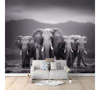 Genérico Papel Pintado 250 x 175 cm Animales Elefantes Montañas Fotografía - Fotomural Decorativo con Efecto 3D - Tejido no Tejido para Decoración de Pared en Salón, Dormitorio u Oficina Gris Oscuro