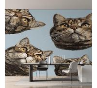 Genérico Papel Pintado Gato Gracioso, Papel Pintado pared Dormitorio Gatito Lindo Niños, Decoracion pared Salon, Fotomurales Tejido no Tejido, 366 x 254 cm K-MZ&20