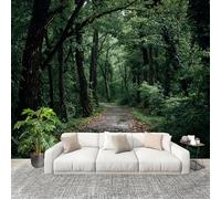Genérico Papel Pintado Panorámico 300x210 cm Sendero Tranquilo En El Bosque Personalizable Fotomurales No Tejido Póster Pared Decoración Verde 3D Duradero y Resistente a las manchas Fotomurales