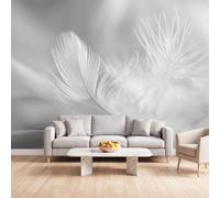 Genérico - Papel pintado panorámico para dormitorio minimalista (250 x 175 | Tapiz de pared Papel pintado Pintura Pluma Línea Decoración de pared Salón, Intejido Foto Wallpaper