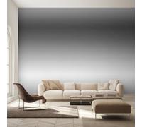 Genérico Papel Pintado Pared Gris Degradado Papel Pintado Pared Dormitorio Moderno Simple Ombré, Salon Tejido No Tejido Decoración del Hogar 150x105 W&51