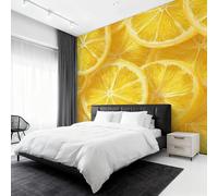 Genérico Papel Pintado Pared Rodaja de Limón Papel Pintado Pared Dormitorio Fruta Limón, Salon Tejido No Tejido Decoración del Hogar 450x315 W&44