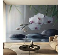 Genérico Papel Pintado Pared Spa Zen Papel Pintado Pared Dormitorio Meditación, Salon Tejido No Tejido Decoración del Hogar 400x280 W48