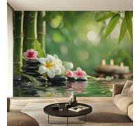 Genérico Papel Pintado Pared Zen Papel Pintado Pared Dormitorio Meditación Spa, Salon Tejido No Tejido Decoración del Hogar 450x315 W38