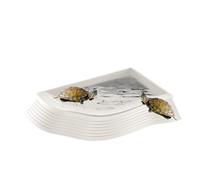 Generico Para agua para reptiles - para tortuga antideslizante, recipiente para pienso fácil de limpiar, fácil de limpiar | Accesorio para hábitat de grandes dimensiones para tortugas para