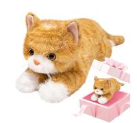 Generico para Gatos abrazados: Peluche cálido con Peso, y Encantador, Acento Decorativo Funcional, Pieza de Confort Relajante | Ideal para cumpleaños, Navidad, Ocasiones