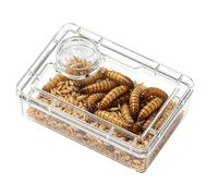 genérico para Reptiles, Reptiles Anti-Evasión, Copa Gecko Leopardo para Terrario | para Habitat Terrarium Maison Bureau Tortue Bernard-Grenouille Araña