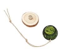 Generico para valla de saltador, 6 x 6 x 1 cm, 4 x 4 x 4 cm 16 cm, decoración interactiva, | Tanque terrario reptiles dragones barbudos tortugas tortugas ranas Paguri ermitaño