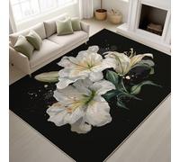 Genérico Pegatinas Antideslizantes & Soporte de TPR Tapete Arte Lirios Minimalista Elegante Alfombras Lavables a máquina en Agua fría Alfombra Suave de Pelo Corto 90 x 150 cm