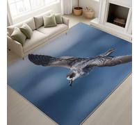 Genérico Pegatinas Antideslizantes & Soporte de TPR Tapete Primer Plano Paíño Vuelo Plumas Alfombras Lavables a máquina en Agua fría Alfombra Suave de Pelo Corto 90 x 150 cm